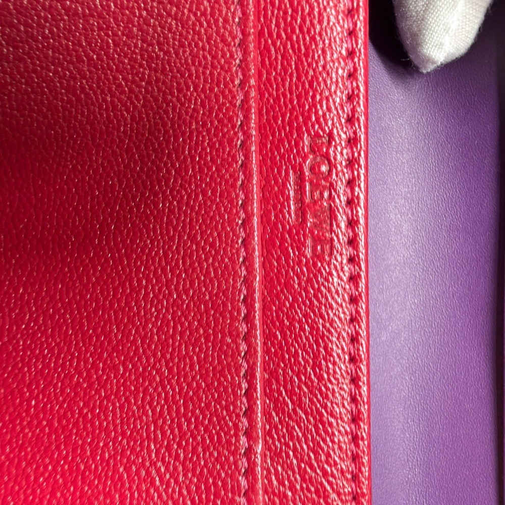 Loewe Amazona Wallet - Picture 11 of 16